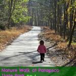Patapsco Park Nature Walk