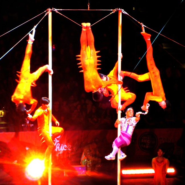 fun things to do with kids in Baltimore: the circus