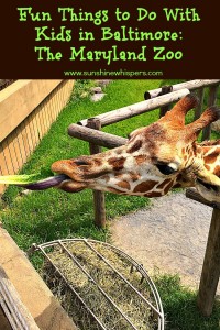 The Mayrland Zoo: Fun Things to Do with Kids in Baltimore
