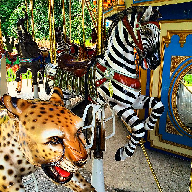 The Maryland Zoo: Fun Things to Do With Kids in Balitmore