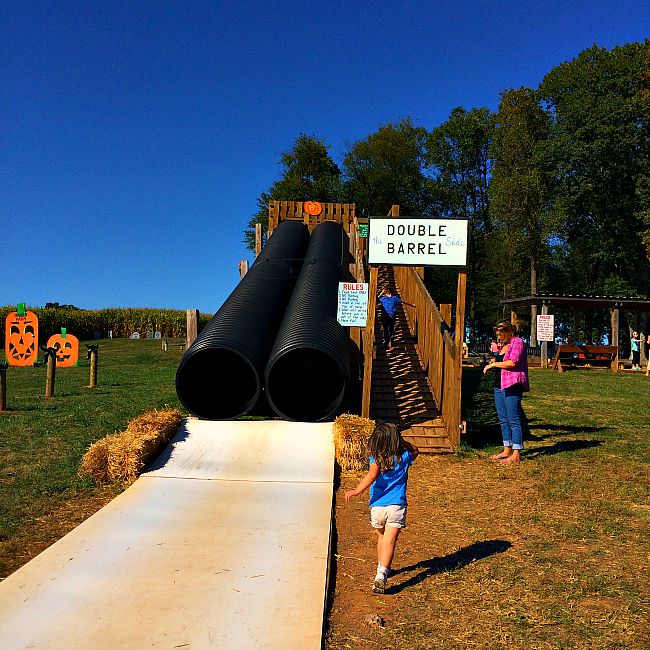 fun things to do with kids in maryland gaver farm