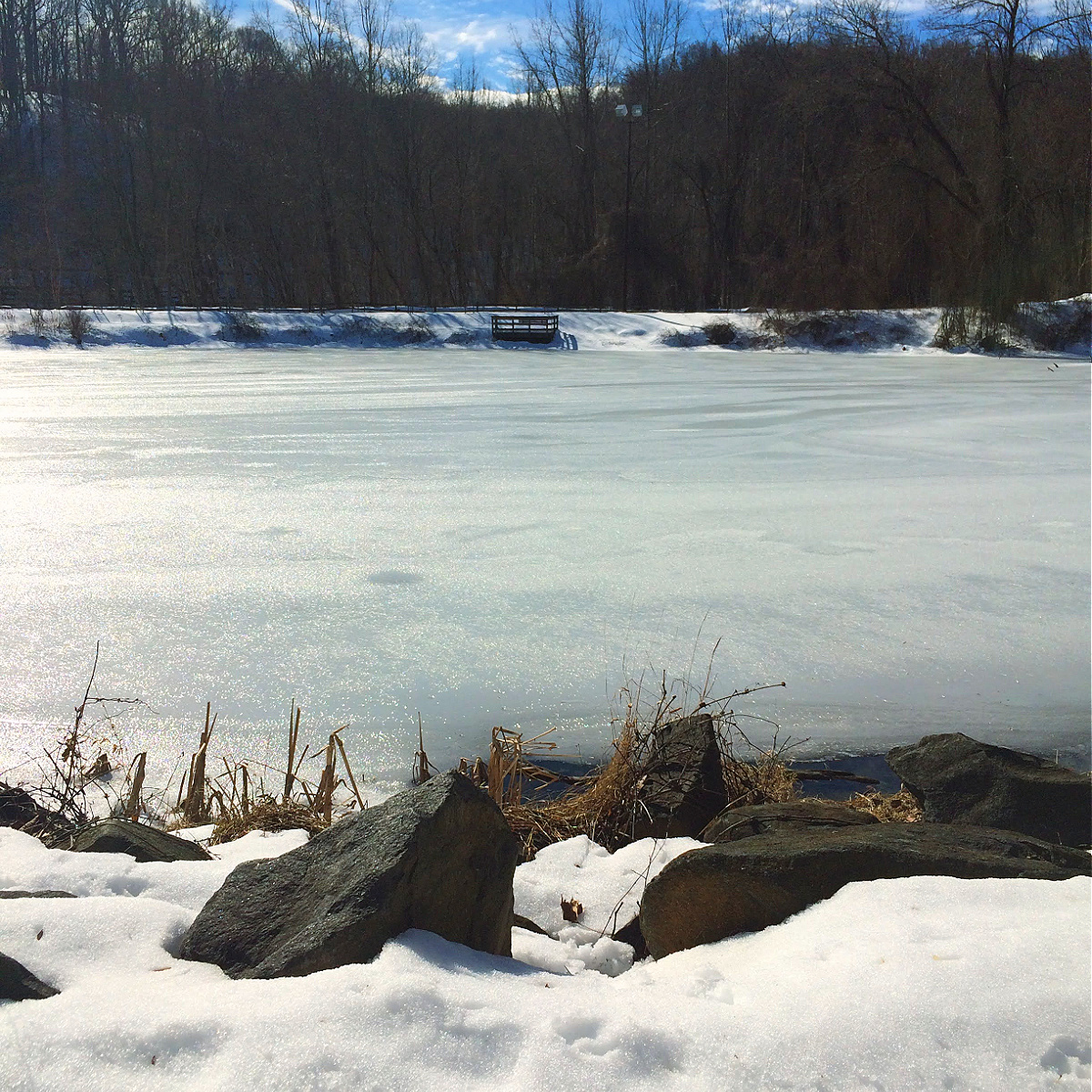 patapsco valley state park lost lake in winter