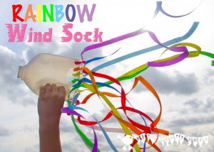Rainbow-Wind-Sock