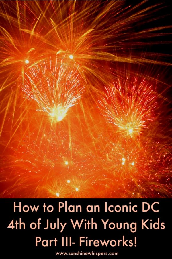 How to Plan an Iconic DC 4th of July With Young Kids: Part III- The ...