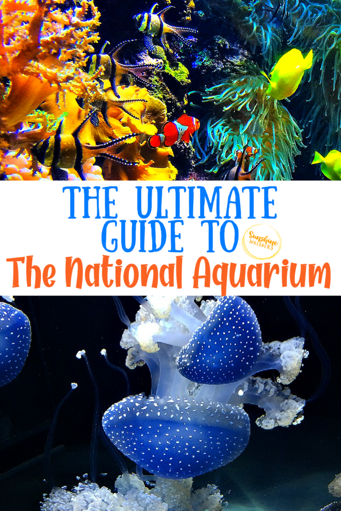 national aquarium