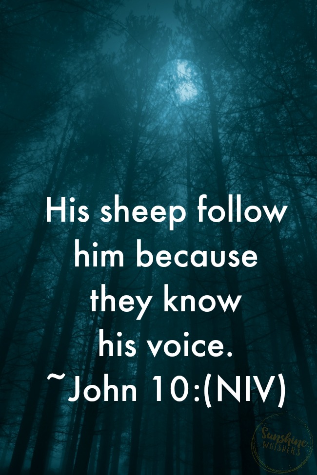 the shepherd's voice
