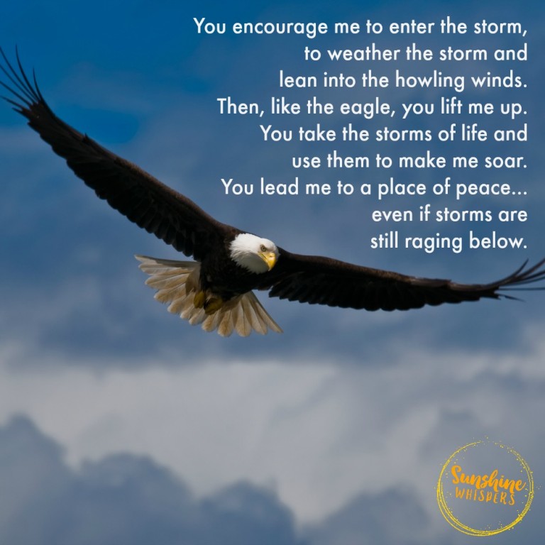 Soaring Above the Storms: A Prayer for Focus