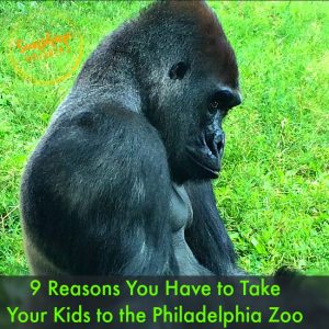 Philadelphia zoo