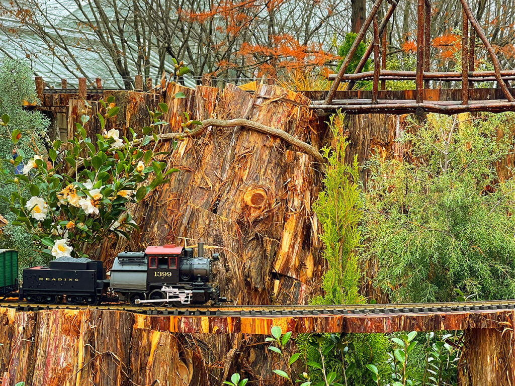 us botanic garden holiday train