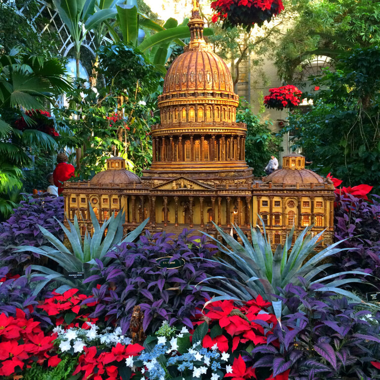 Why You Must Visit the US Botanic Garden With Kids at Christmas!