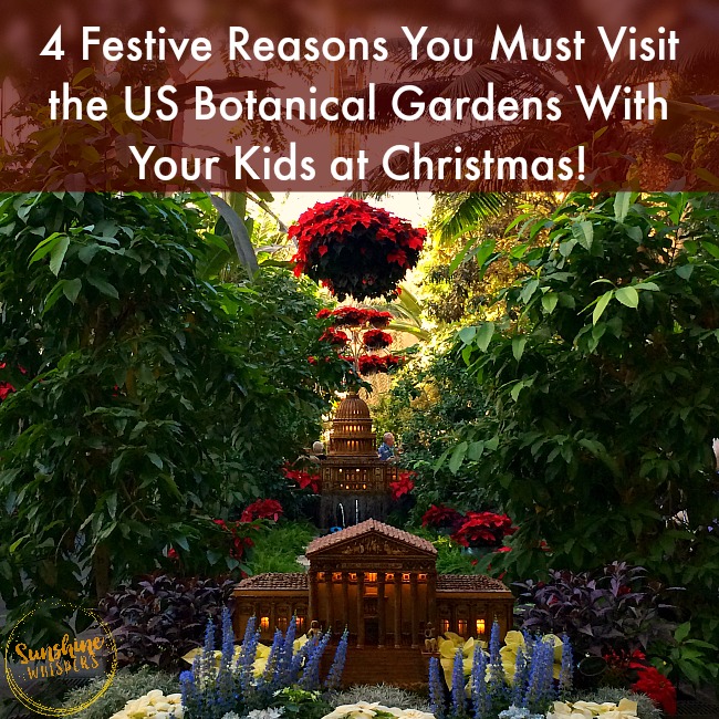 4 Festive Reasons You Must Visit the US Botanic Garden With Kids at Christmas!