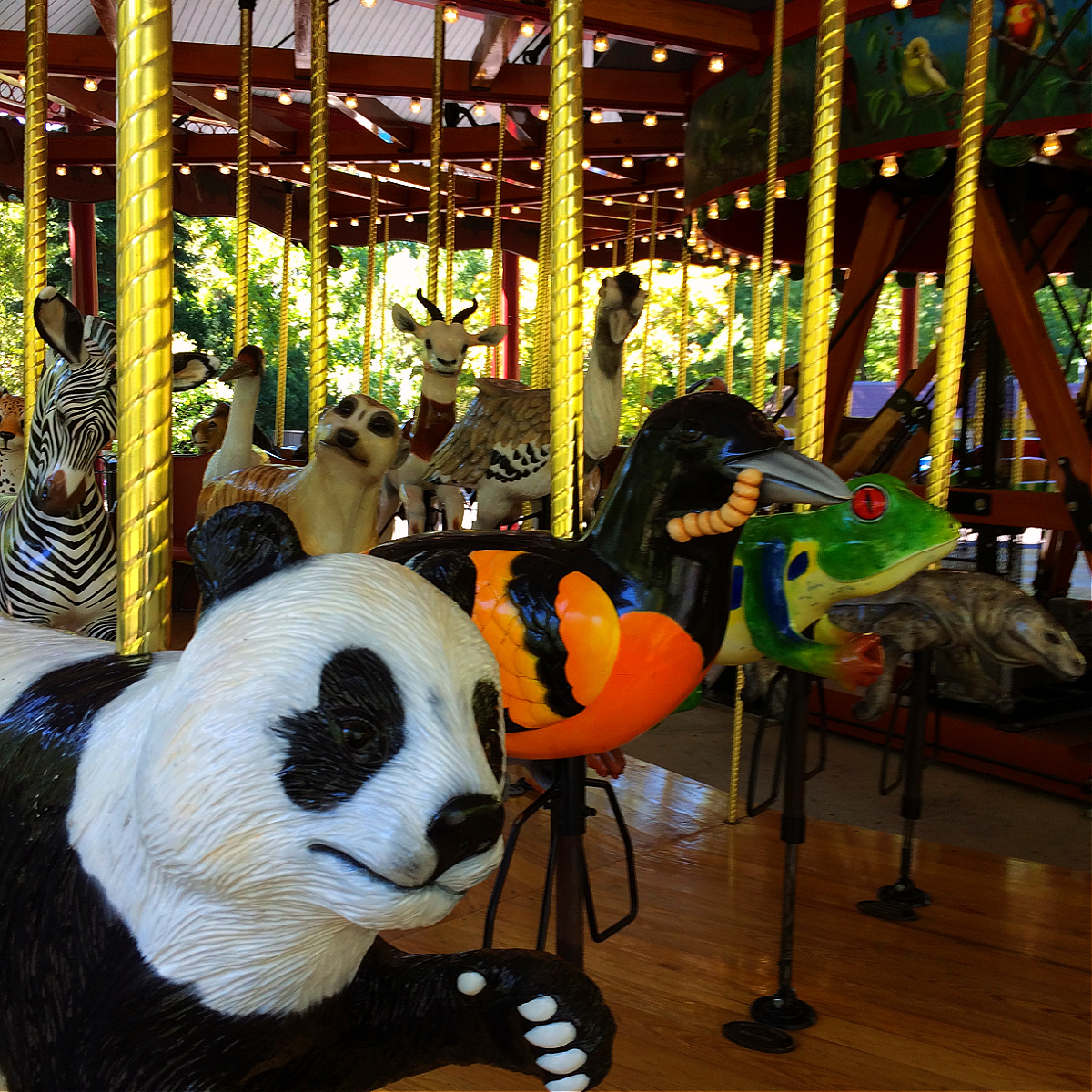 national zoo carousel