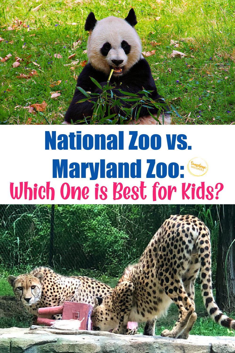 maryland zoo vs. national zoo