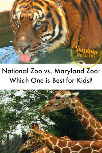 national zoo vs. baltimore zoo