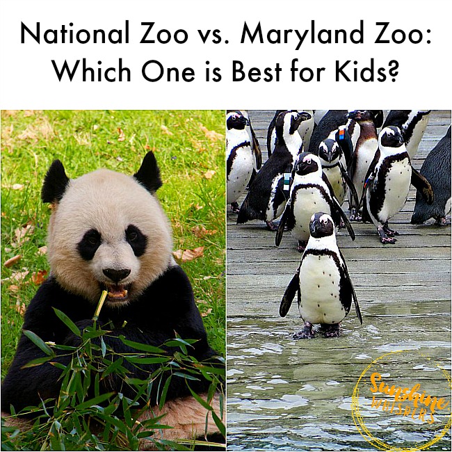 national vs. maryland zoo