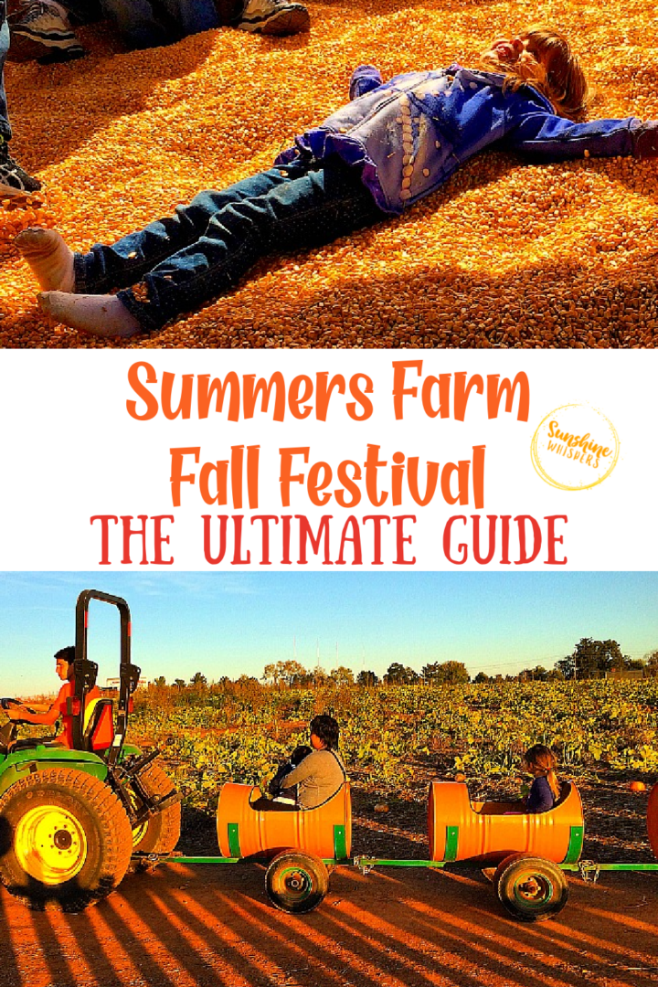19 Reasons You Must Take Your Kids to Summers Farm This Fall!