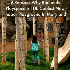 badlands playspace