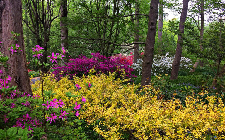 Brookside Gardens Is Enchanting Year Round With Or Without Kids