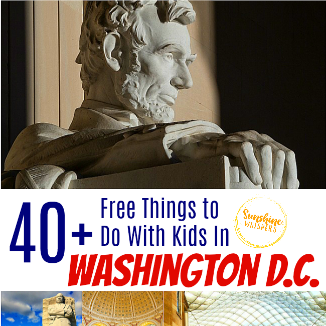 40+ FREE Things To Do With Kids In DC