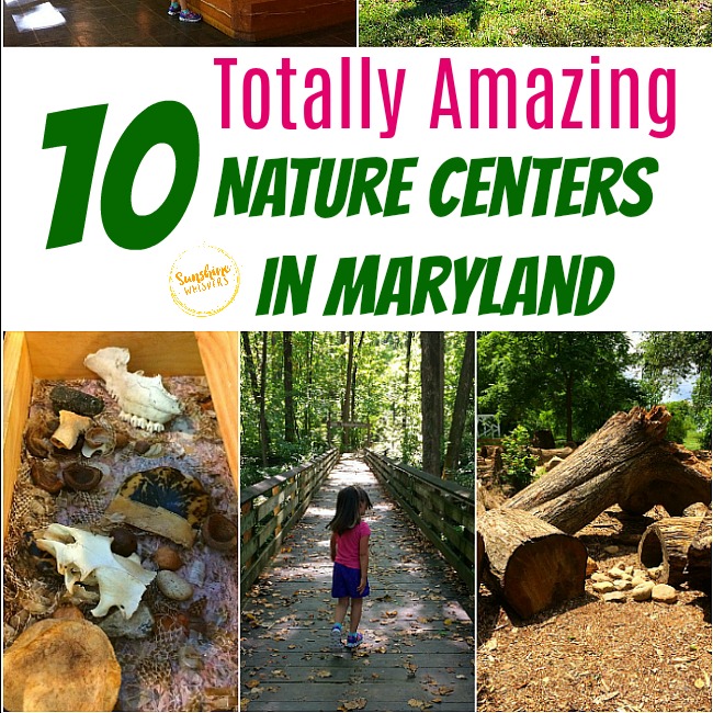 10 Nature Centers In Maryland That Will Spark Your Child’s Love Of Nature!