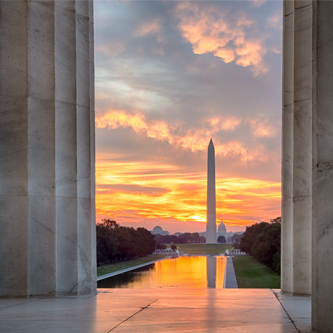 free things to do in DC with kids
