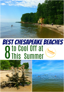 best chesapeake beaches