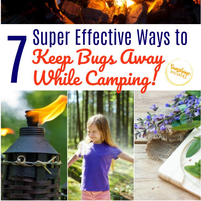 7 Super Effective Ways To Keep Bugs Away While Camping