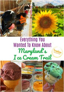 maryland's ice cream trail