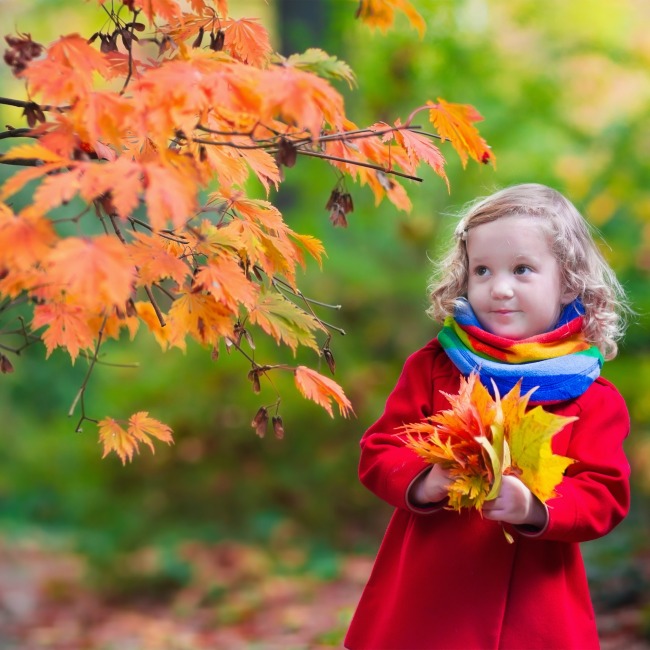 10+ Can’t Miss Fall Family Events in Maryland That Don’t Involve Pumpkins (updated and expanded for 2022!)