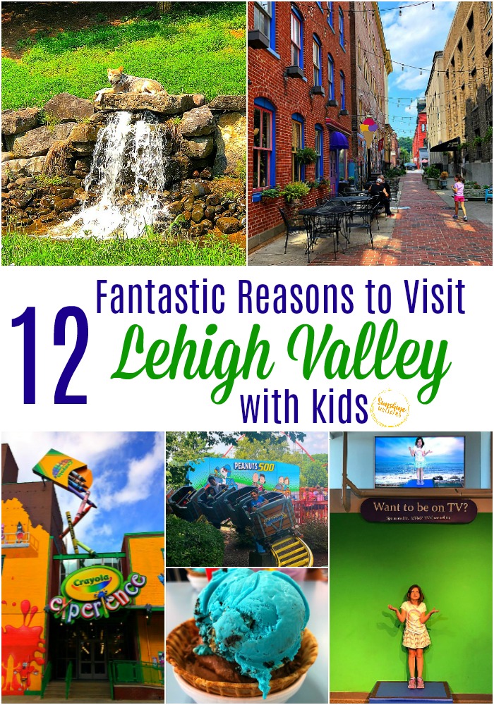 lehigh valley with kids