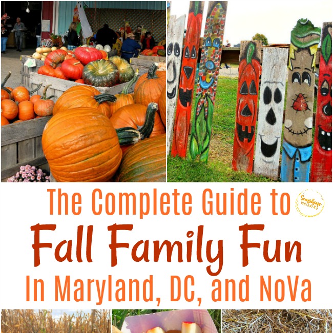The Complete Guide to Fall Festivals in Maryland, DC, Northern Virginia, and more! (updated for 2022)