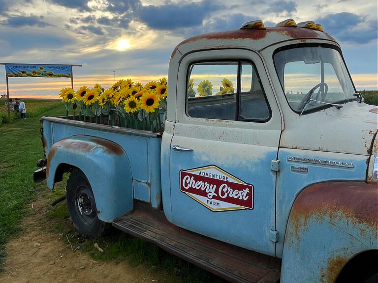11+ Reasons You Absolutely Must Visit Cherry Crest Adventure Farm This Fall!
