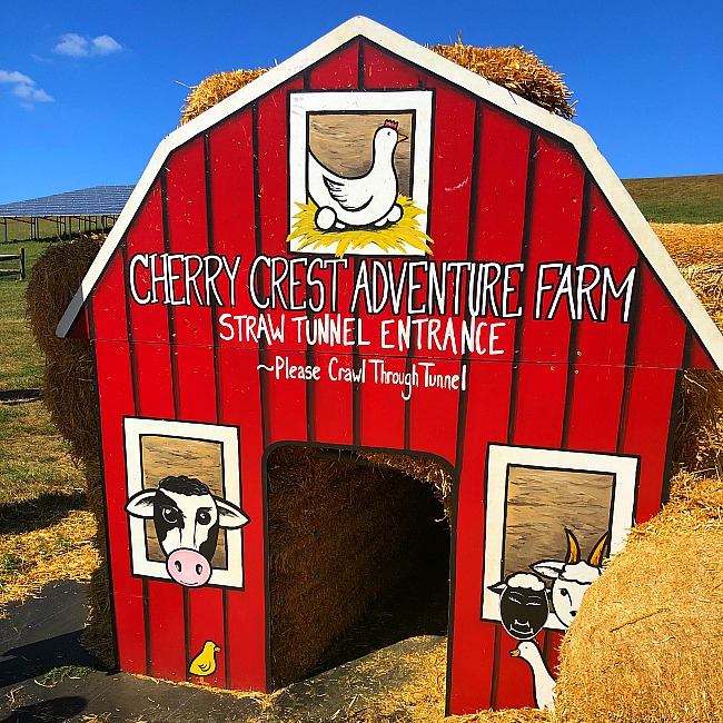 cherry crest adventure farm