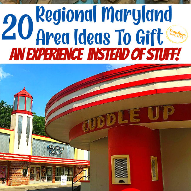 20 Regional Maryland Area Ideas To Gift An Experience Instead Of Stuff