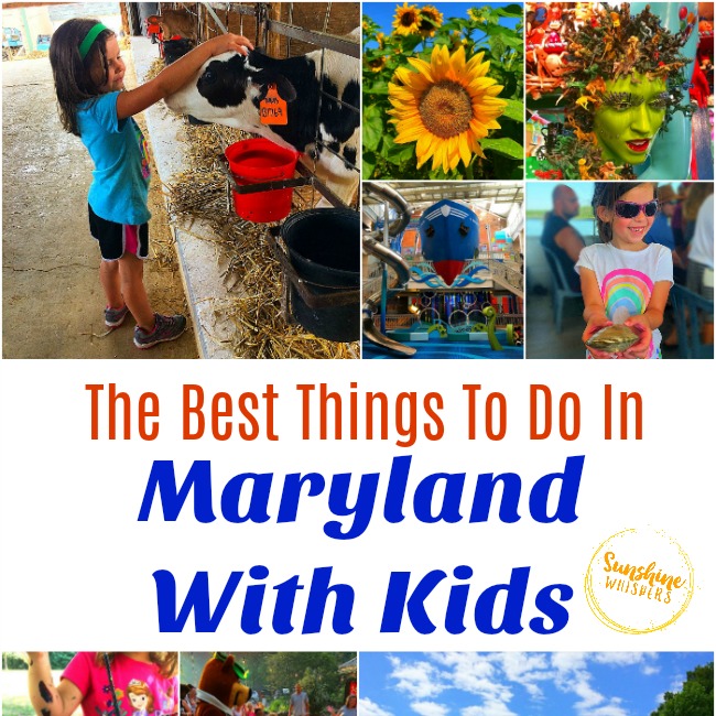 Things To Do In Maryland With Kids