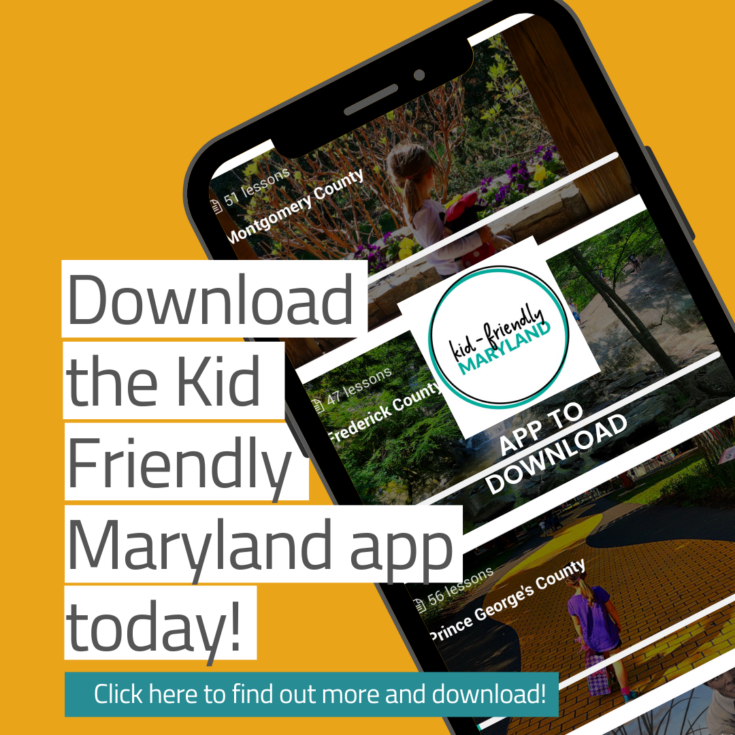 20+ Super Fun Corn Mazes In Maryland That Are Perfect To Get Lost In! (2022)