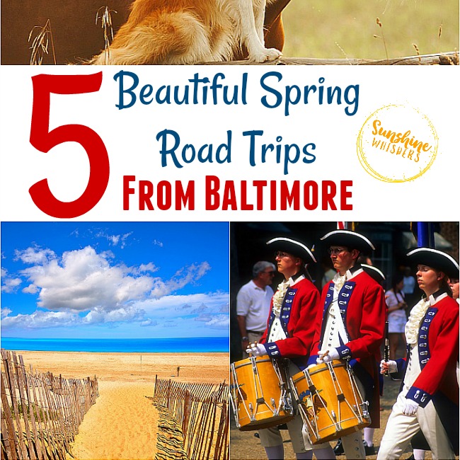 5 Beautiful Spring Road Trips from Baltimore