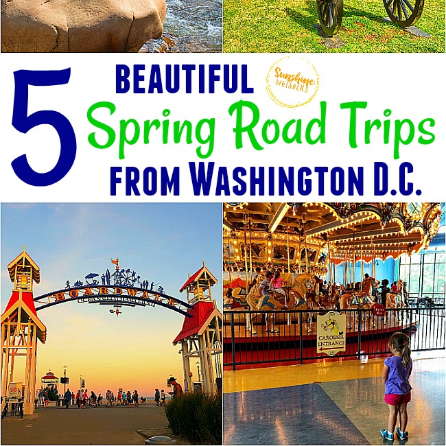 5 Beautiful Spring Road Trips from Washington DC