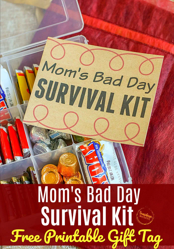 Xmas Gift Bag of Love Survival Kit Birthday Mothers Day Keepsake Gift & Card