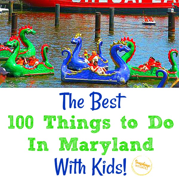 The Best 100 Things To Do In Maryland With Kids