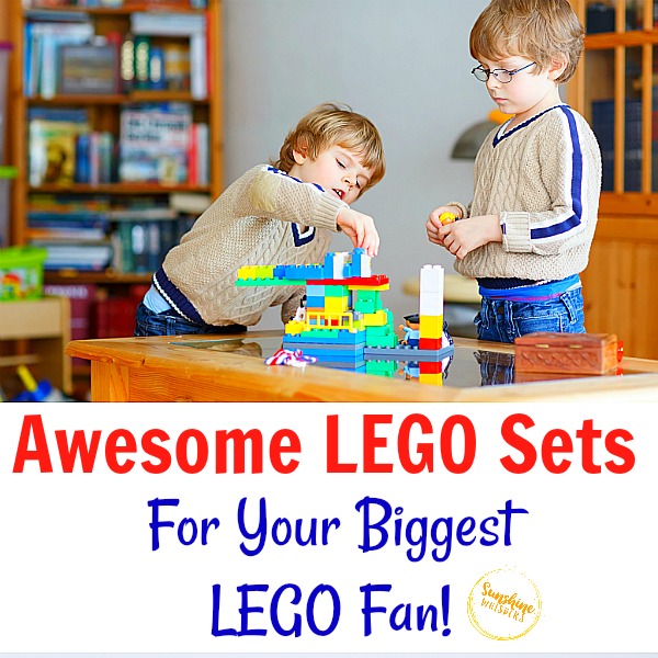 15 Awesome LEGO Sets For Your Biggest LEGO Fan