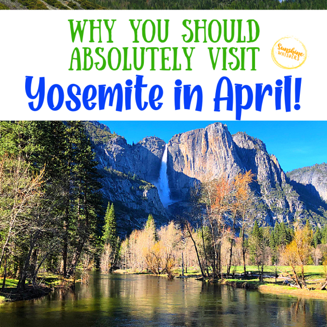 Why You Should Absolutely Visit Yosemite In April