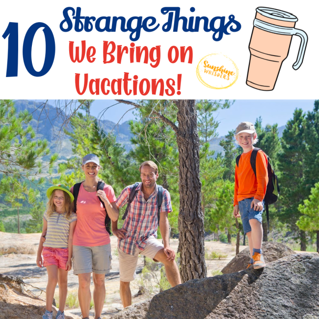 10 Strange Things We Bring On Family Vacations