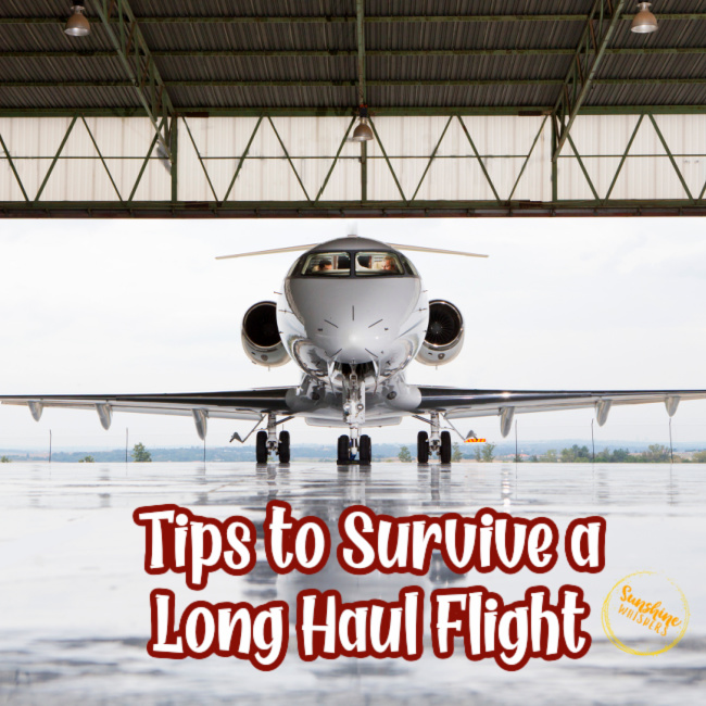 10 Tips to Survive a Long Haul Flight