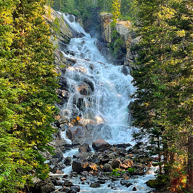 The Best Hikes To Do With Kids in Grand Teton National Park: Hidden Falls