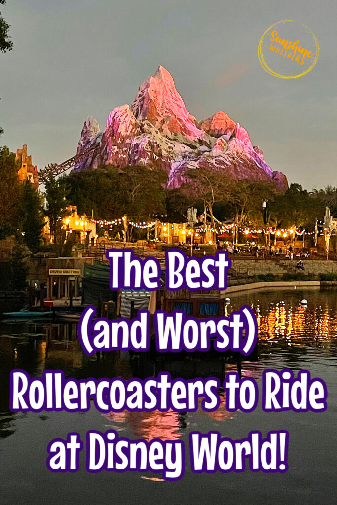 best roller coasters at Disney World