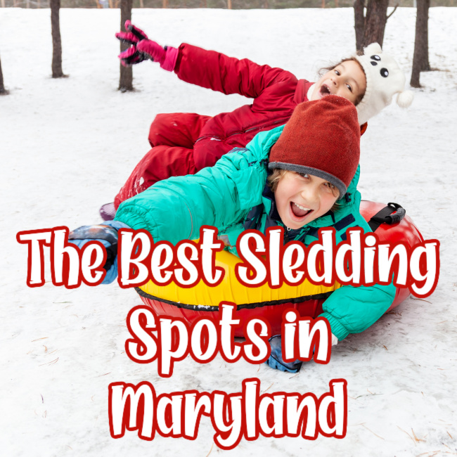 Best Sledding Spots in Maryland (organized by County!)