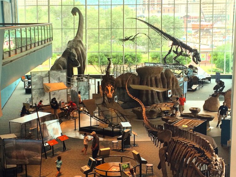 The Ultimate Guide to the Maryland Science Center
