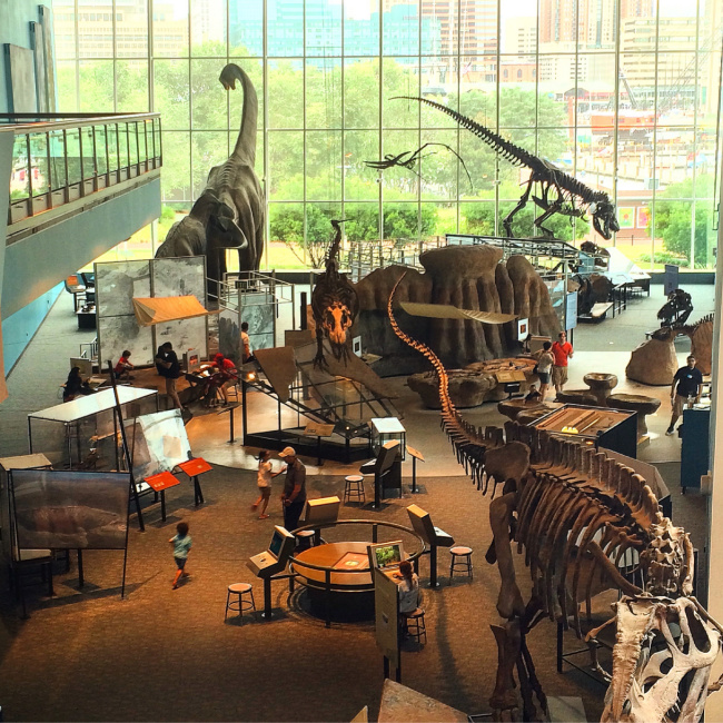 The Ultimate Guide to the Maryland Science Center