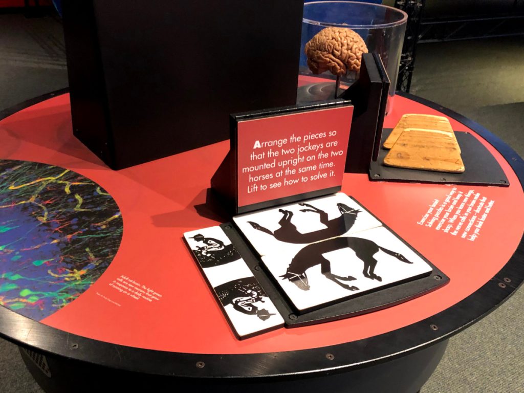 maryland science center